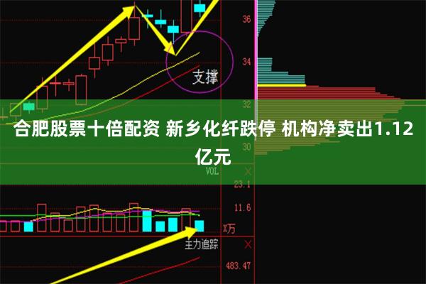 合肥股票十倍配资 新乡化纤跌停 机构净卖出1.12亿元