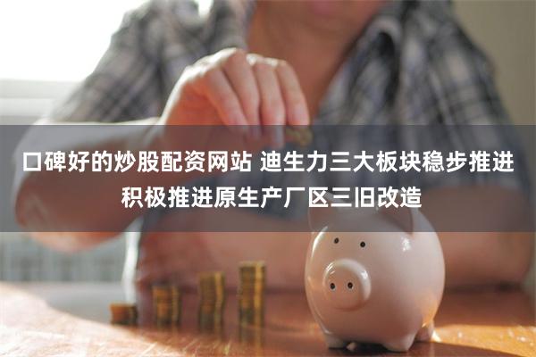 口碑好的炒股配资网站 迪生力三大板块稳步推进 积极推进原生产厂区三旧改造
