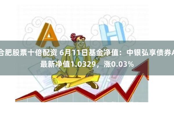 合肥股票十倍配资 6月11日基金净值：中银弘享债券A最新净值1.0329，涨0.03%