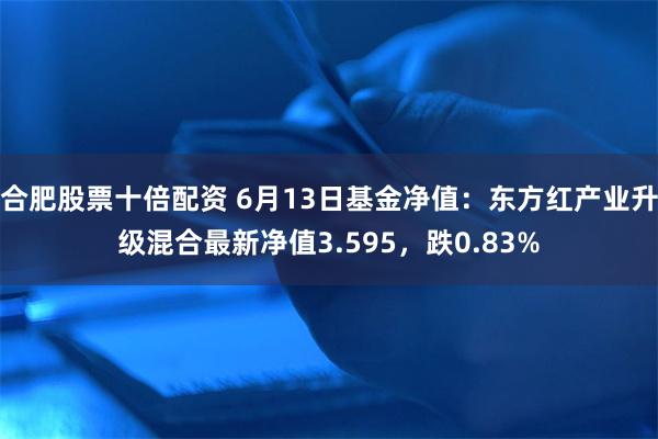 合肥股票十倍配资 6月13日基金净值：东方红产业升级混合最新净值3.595，跌0.83%
