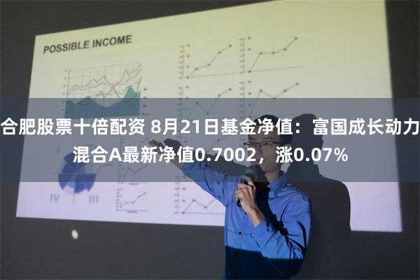 合肥股票十倍配资 8月21日基金净值：富国成长动力混合A最新净值0.7002，涨0.07%