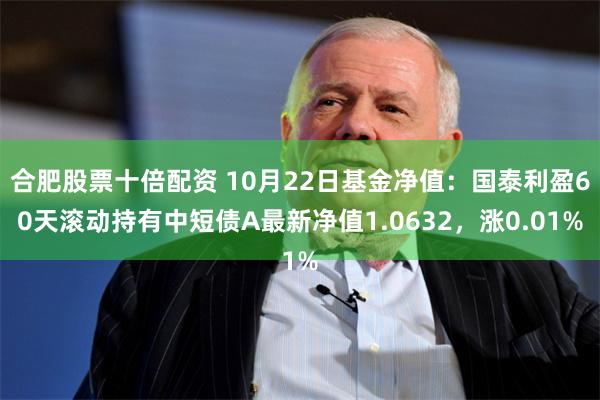 合肥股票十倍配资 10月22日基金净值：国泰利盈60天滚动持有中短债A最新净值1.0632，涨0.01%