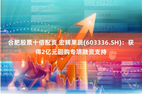 合肥股票十倍配资 宏辉果蔬(603336.SH)：获得2亿元回购专项融资支持