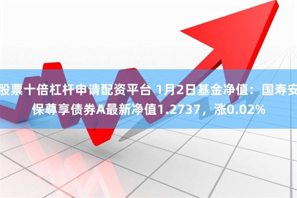 股票十倍杠杆申请配资平台 1月2日基金净值：国寿安保尊享债券A最新净值1.2737，涨0.02%
