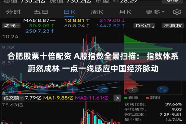 合肥股票十倍配资 A股指数全景扫描： 指数体系蔚然成林 一点一线感应中国经济脉动