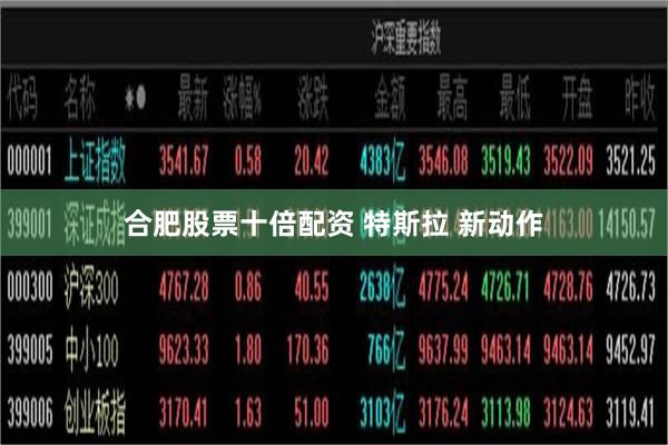 合肥股票十倍配资 特斯拉 新动作