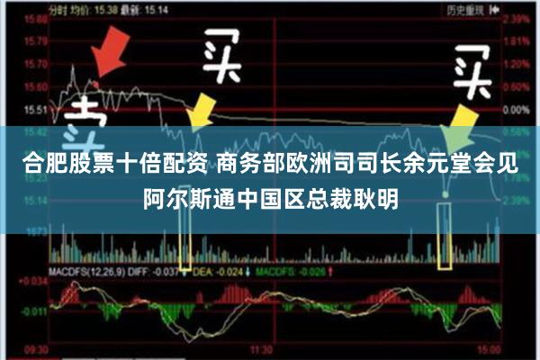 合肥股票十倍配资 商务部欧洲司司长余元堂会见阿尔斯通中国区总裁耿明