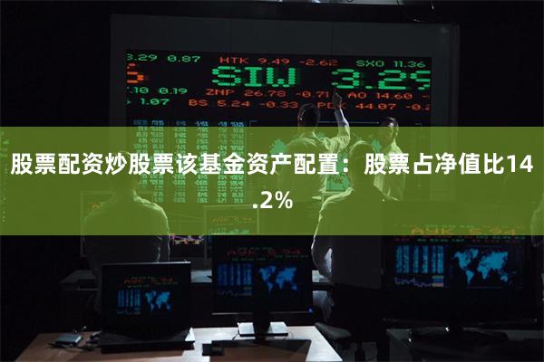 股票配资炒股票该基金资产配置:股票占净值比14.2%